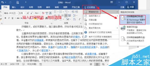 Word2016ôӡԤWord2016ӡԤ