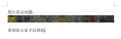 Word2013ͼƬʾȫô죿Word2013ͼƬʾȫķ