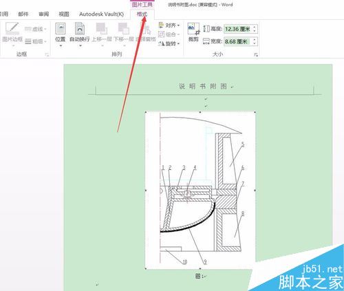 Word2016ͼƬСôãWord2016ȷ༭ͼƬߴ̳