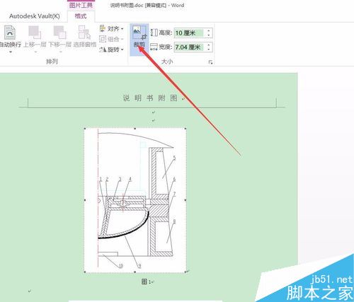 Word2016ͼƬСôãWord2016ȷ༭ͼƬߴ̳