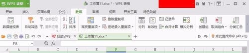 WPS˵
