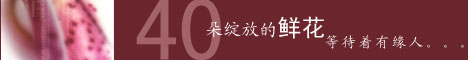 PPT制作时文字编排