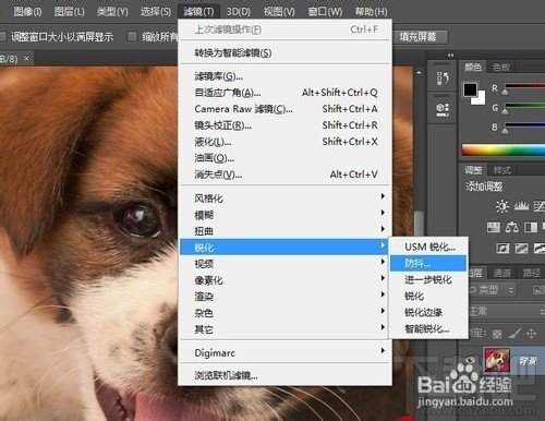Adobe Photoshop CC ¹ܳ˾
