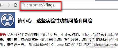 chromechrome://flahs