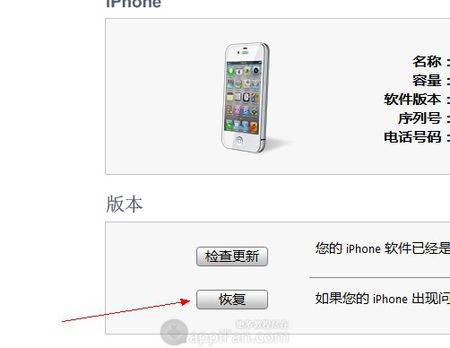 iPhone΢û